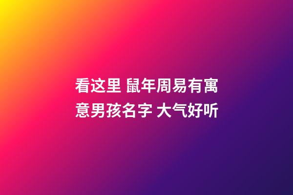 看这里 鼠年周易有寓意男孩名字 大气好听